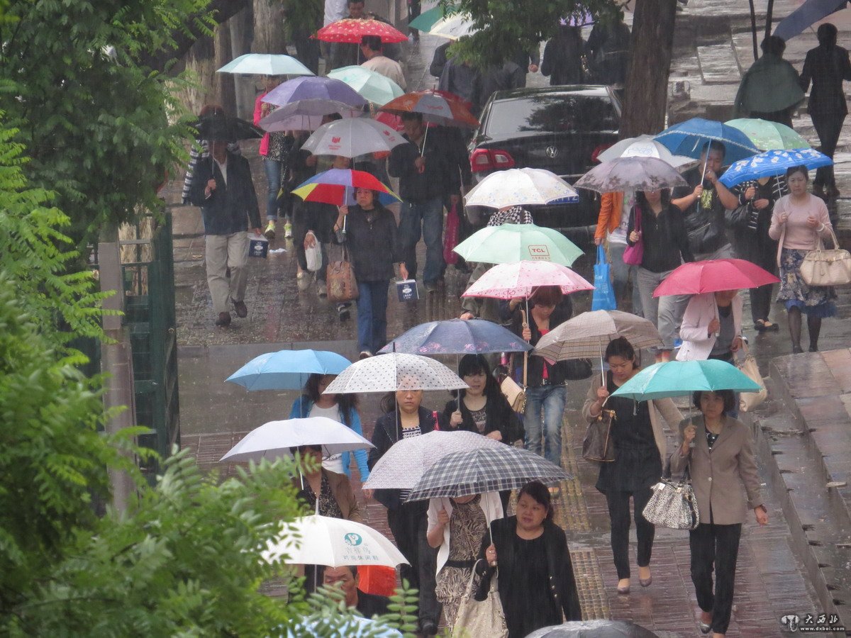 兰州雨中即拍