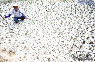 我国多地最高气温突破历史极值