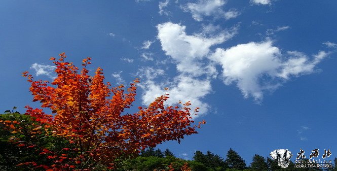 节日的兰州兴隆山