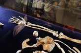 美国教授Lee Berger与他9岁的儿子2008年在南非玛拉帕(Malapa)山洞中发现了两具大约有200万年历史的古人类化石，