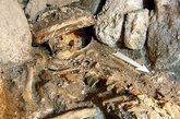 据国外媒体报道，近期，考古学家危地马拉纳库姆玛雅遗址发现一个神秘玛雅王室墓陵，墓陵中发现的古玛雅统治者竟是一位女性，并且她的头骨放置方式非常独特，放在两个大碗之间。上层墓室的尸体在过去几百年里已遭受啮齿类动物的严重破坏，但依据尸体残骸可分辨出这是一位玛雅王室统治者，目前暂定为一位女性。考古学家从墓陵中发现的小口径戒指可以进行推断。