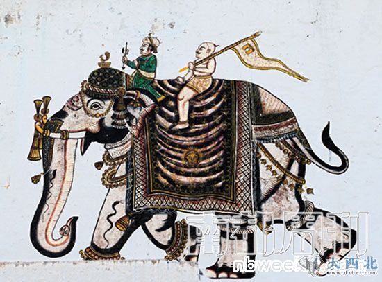 大象的图案，常常出现在这个城市的墙面上。