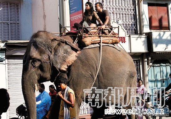 大概花100元人民币，就可以骑着大象在城里晃荡1个小时。