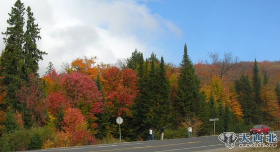 秋天的加拿大安省