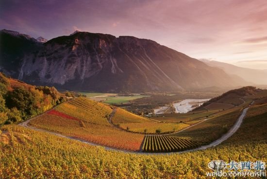 瑞士在9月份进入秋季，各地都将被色彩所渲染，特别是湖畔的丘陵和山体斜坡上铺满阶梯状的葡萄园