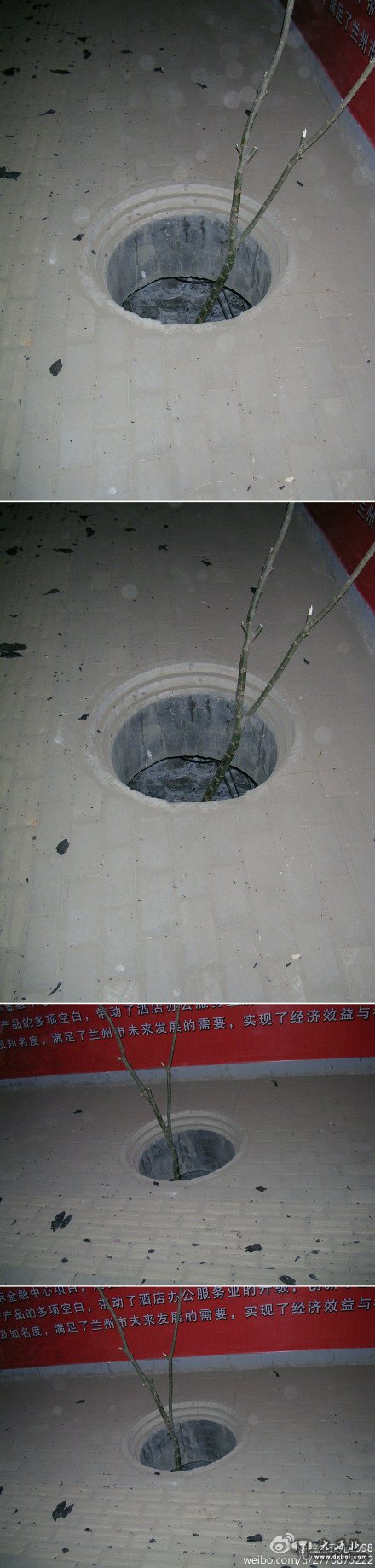 滨河北路盲道上的一个下水井