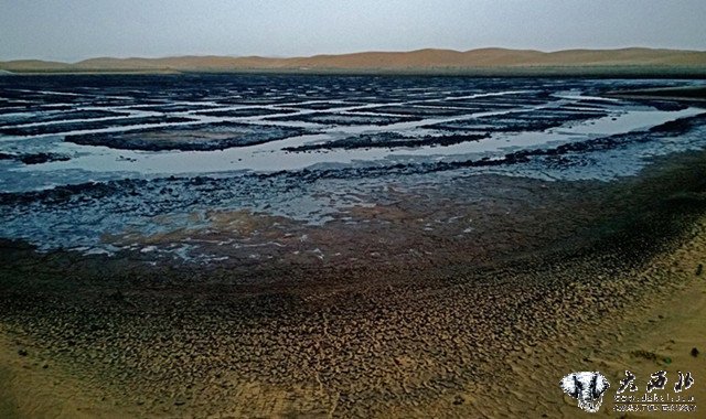 腾格里沙漠：污染引发的荣耀与耻辱