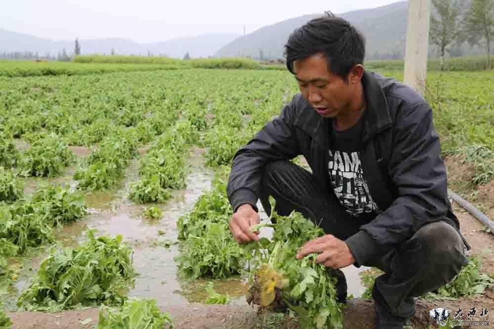 甘肃定西遭冰雹袭击