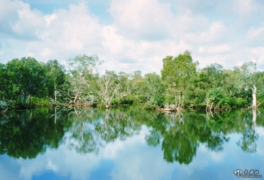 风景