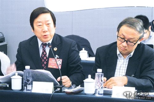 在全国政协侨联界讨论会上，全国政协委员潘庆林（左）就绿色发展发言，邻座的全国政协委员蔡建国（右）不时记录其中要点