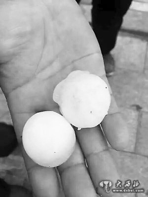 甘南多地遭受暴雨冰雹袭击