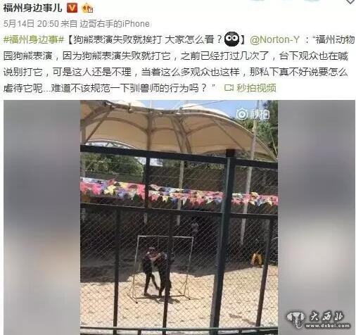 福州动物园狗熊跨栏失败遭脚踢裆部 观众愤怒喊停