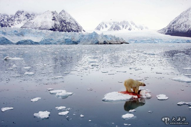 每年近2700亿吨冰消失！