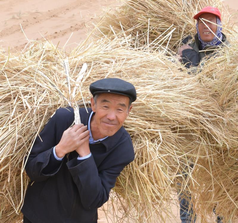 全国林草系统的一面旗